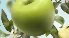 Green Apple