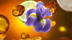Amber Elegance
