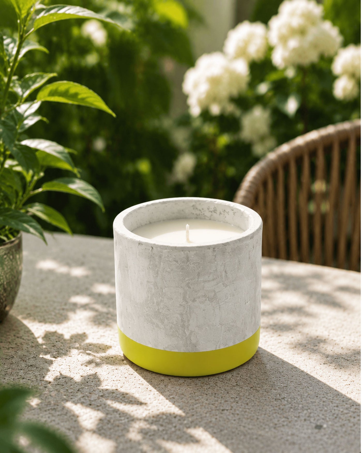 Concrete Olive Citronelle Scented Candle