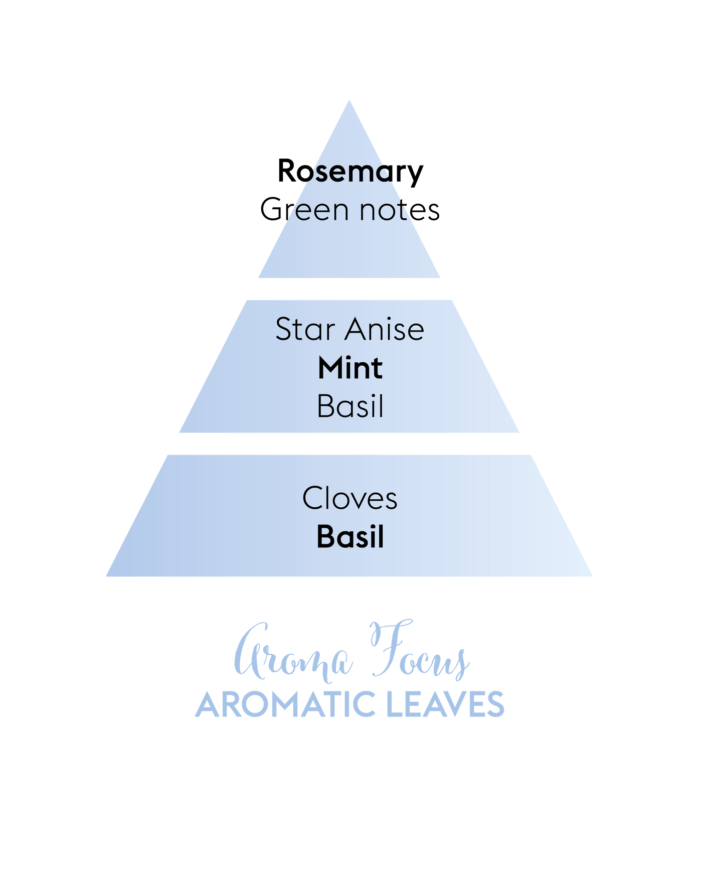 Aroma Focus Roll On